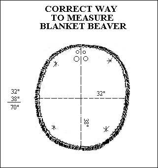 gif -- Blanket Beaver