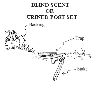 gif - Blind Scent or Urine Post Set