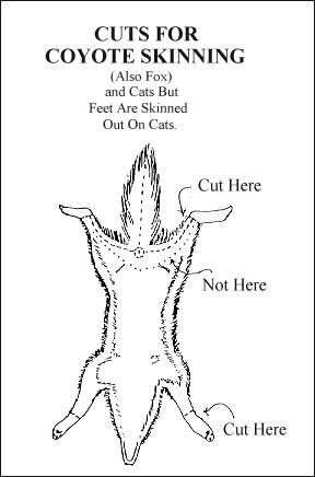 gif -- Cuts for Skinning Coyote Skinning