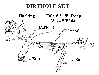 gif - Sketch of a Dirthole Set